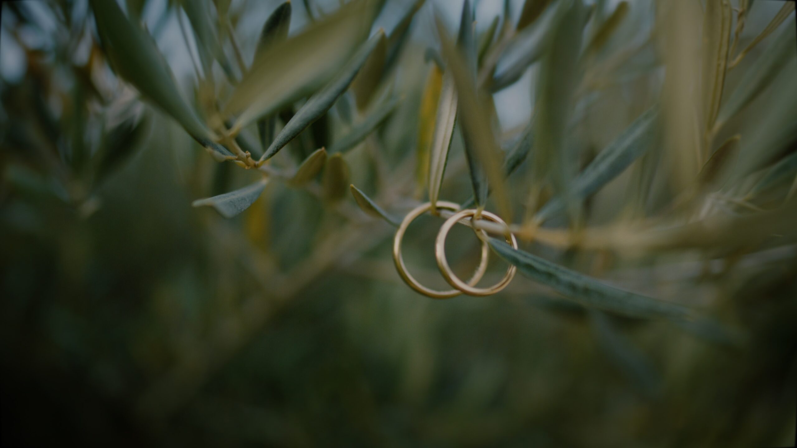 Gloria + Rudolf _ film - Vedahof - Gramastetten - hochzeitsvideografen