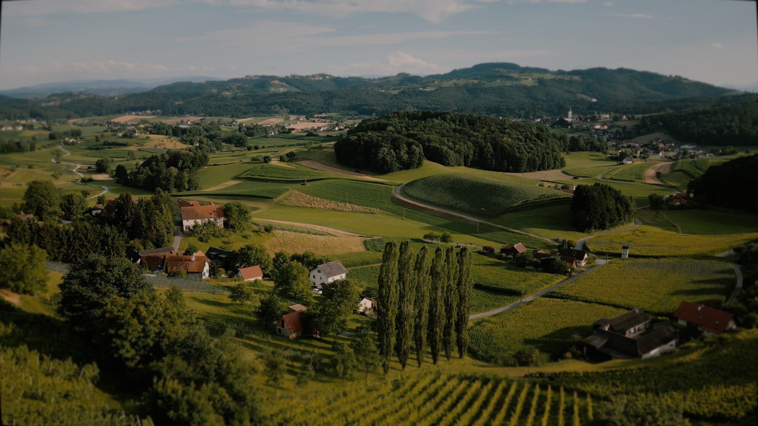 Gloria und Emanuel stehen in den Weinreben des Weingartenhotel Harkamp in der Steiermark.